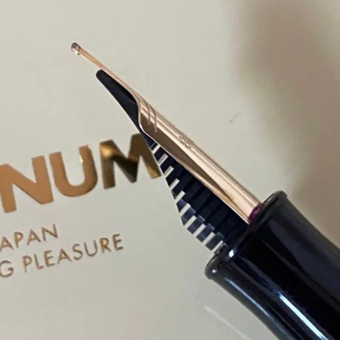 廃盤 プラチナ ブライヤー ♯3776 センチュリー 木軸 万年筆 太字 B