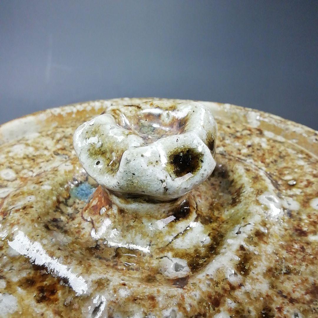 S806 水指 『信楽焼 水指』『高橋春斎』 共箱 茶道具