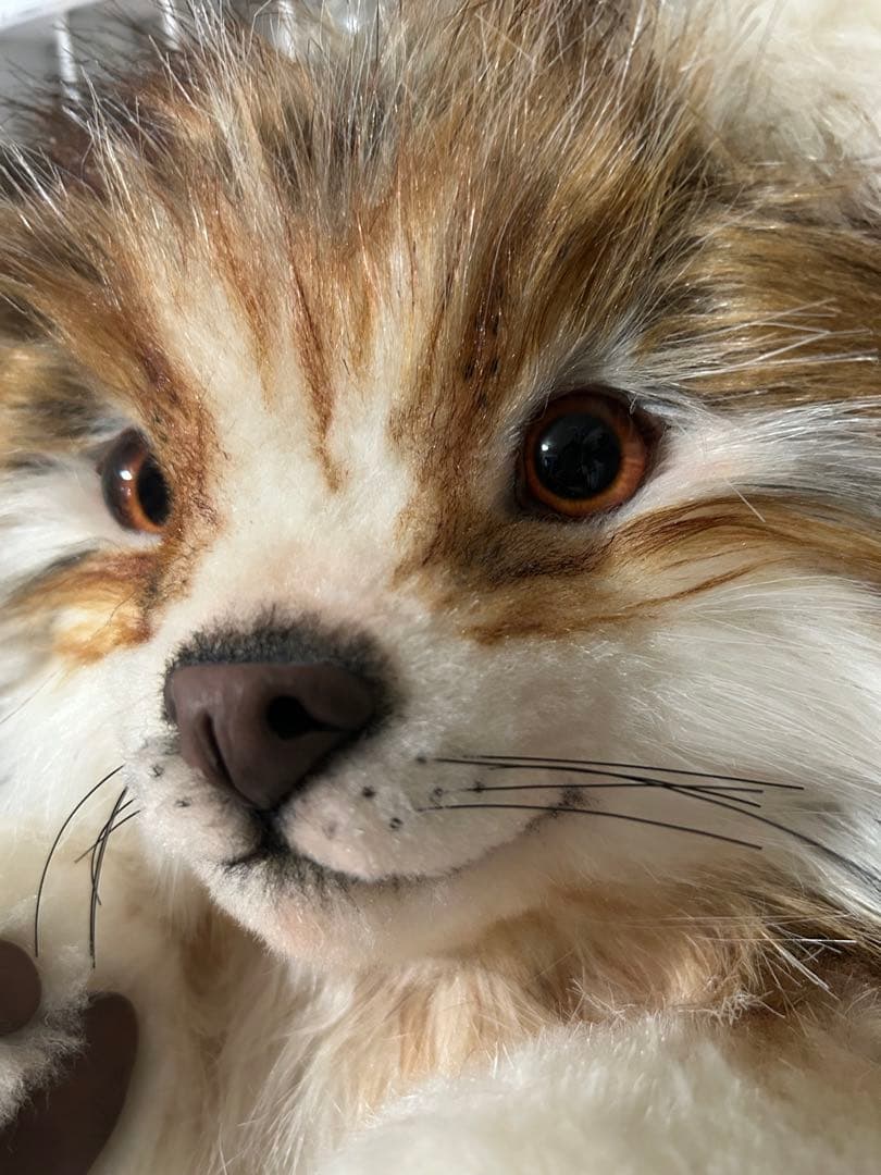 海外作家様 ぬいぐるみ テディベア アートドール たぬき