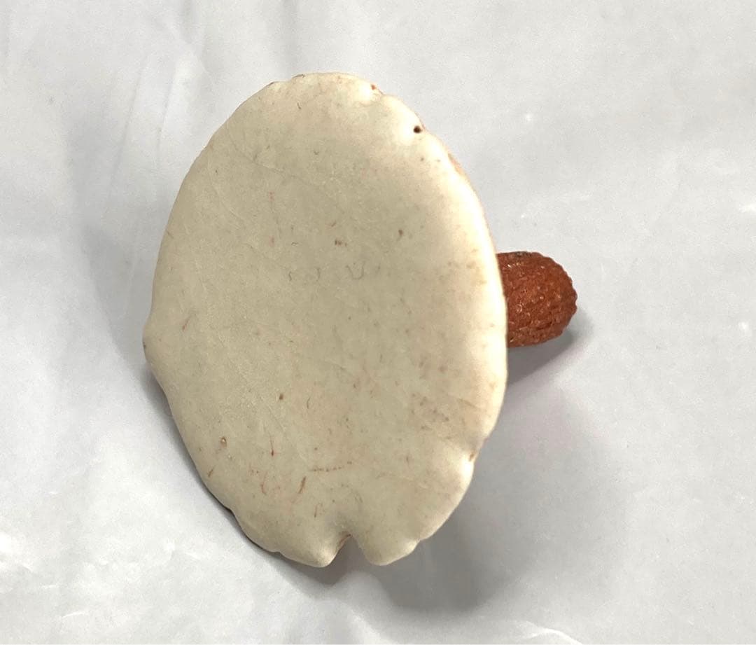 藤田匠平　陶器　香水瓶　Perfume pot アロマ　スナフジタ　フジタチサト