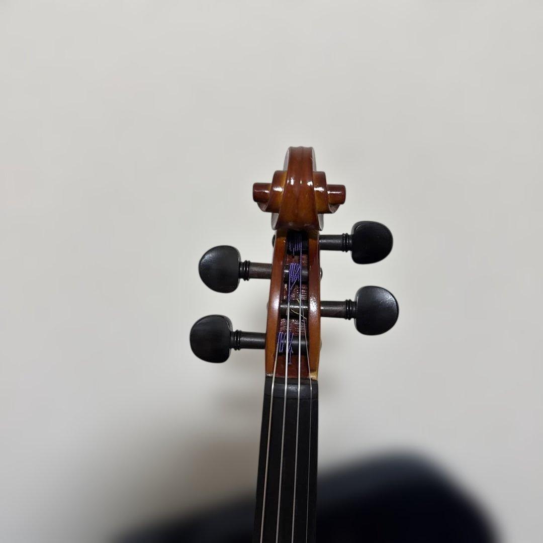 整備済み Carlo Giordano VS-1 4/4サイズ バイオリン