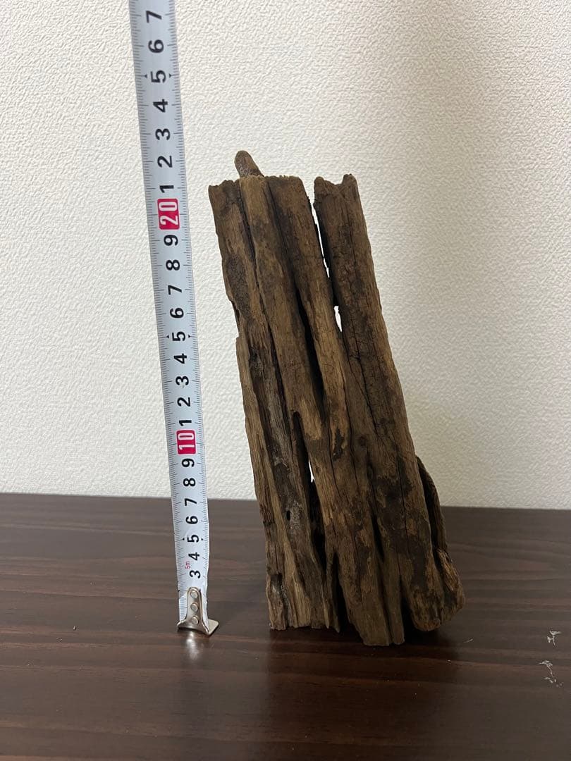 XM-510 流木 マシンガンウッド アクアリウム ブランチウッド 沈水確認