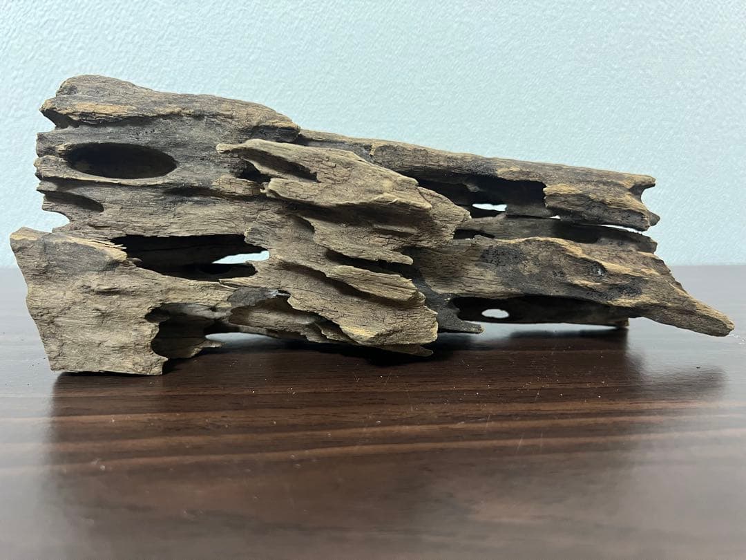 XM-510 流木 マシンガンウッド アクアリウム ブランチウッド 沈水確認