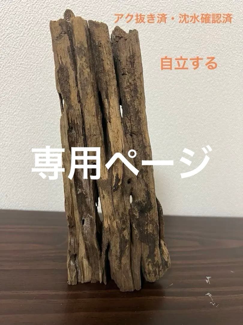 XM-510 流木 マシンガンウッド アクアリウム ブランチウッド 沈水確認