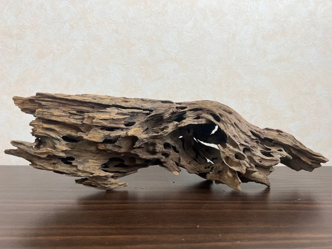 XM-510 流木 マシンガンウッド アクアリウム ブランチウッド 沈水確認