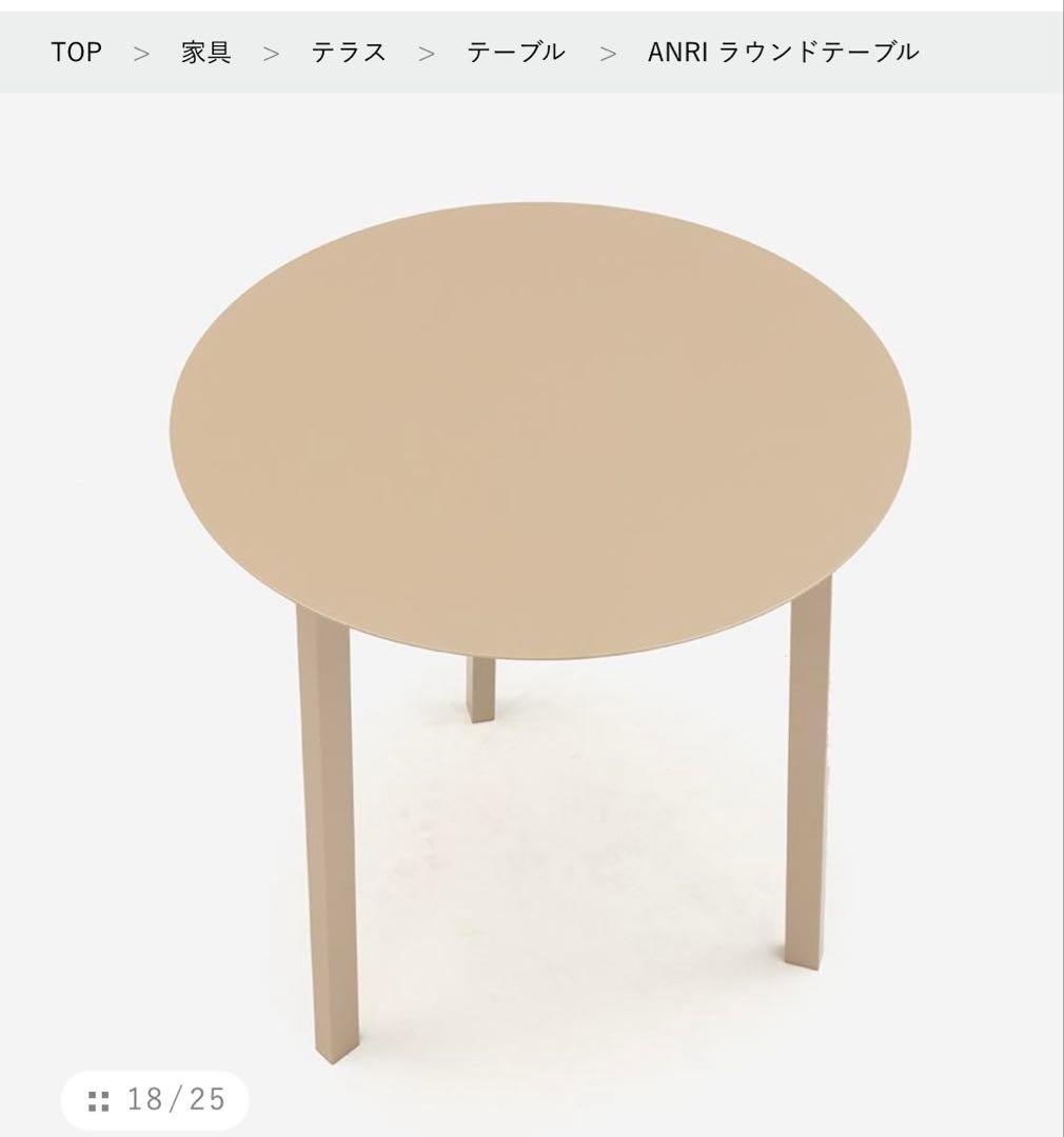 ACTUS ANRI ラウンドテーブル