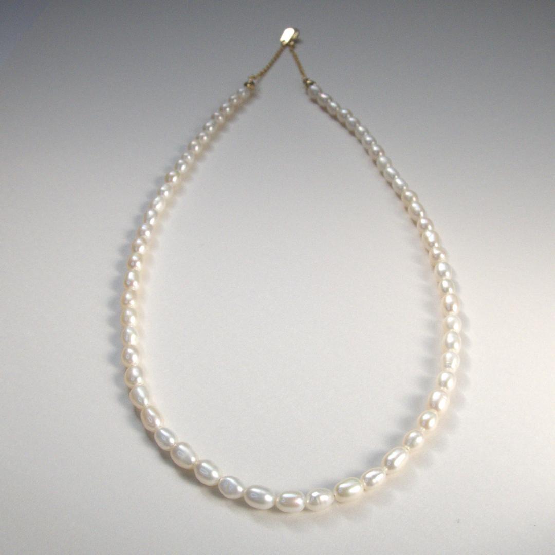 龍脈の精髄 ― 煙水晶ペンダント 「逆境を超え自然と共鳴する護り」保護