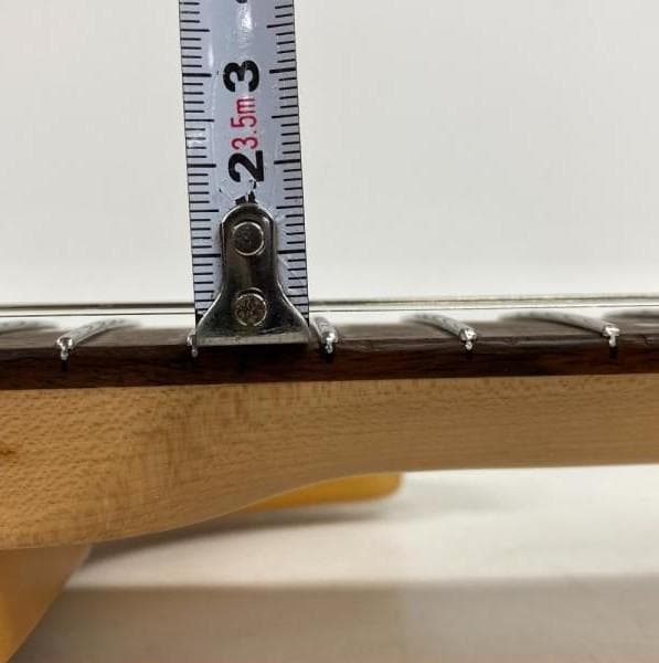 Washburn ワッシュバーン PRO エレキギター ソフトケース付き