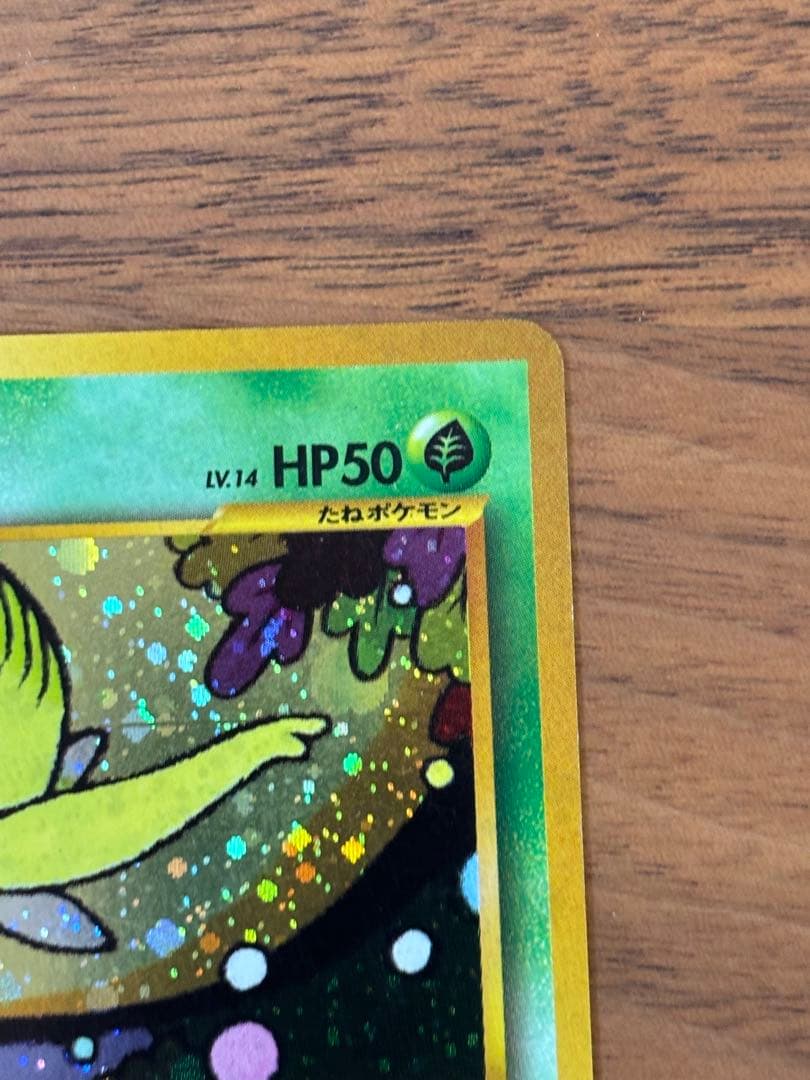 旧裏　セレビィ_プレミアムファイル3 PROMO 第2世代