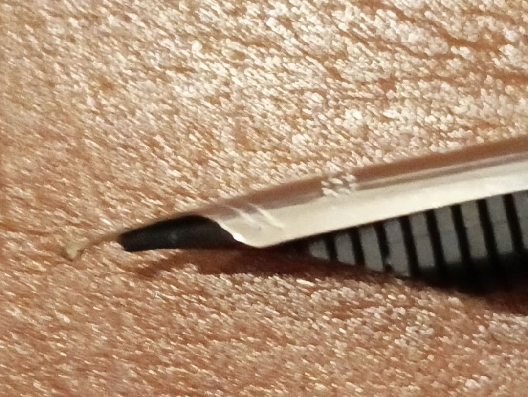 プラチナ センチュリーのニブ交換・・・とロミオ＆ジュリエット