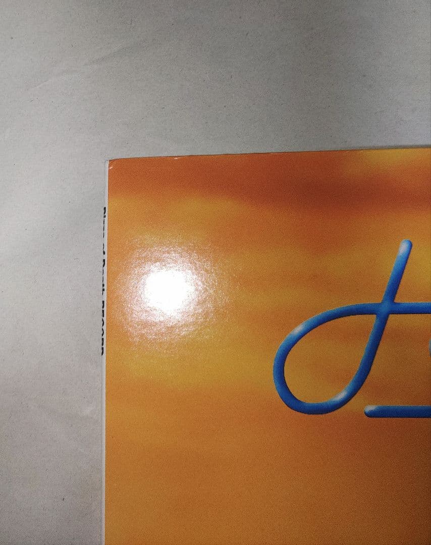 希少　限定盤　Hi-Standard　GROWING UP　レコード　ハイスタ