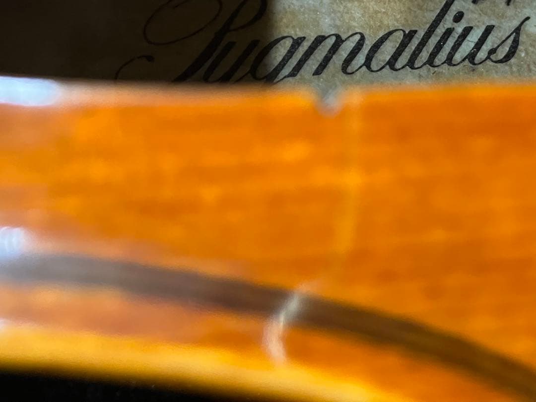 pygmalius ピグマリウス　バイオリン　本体