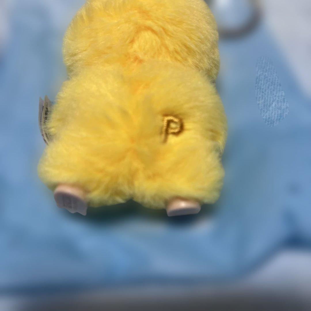 ラブブ　マカロン　ビッグイントゥエナジー　イニシャル　まとめ売り