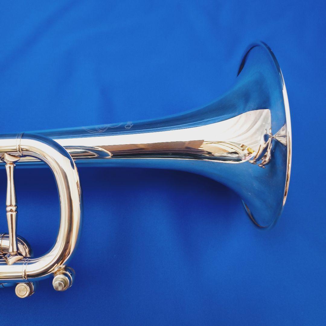 選定品 ZORRO Custom BUILT ModelII