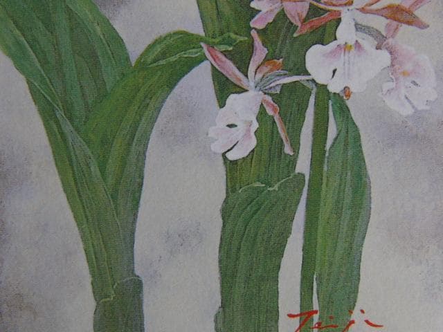 栗原悌二、エビネ蘭、希少な画集より、新品高級額、額装付、状態良好