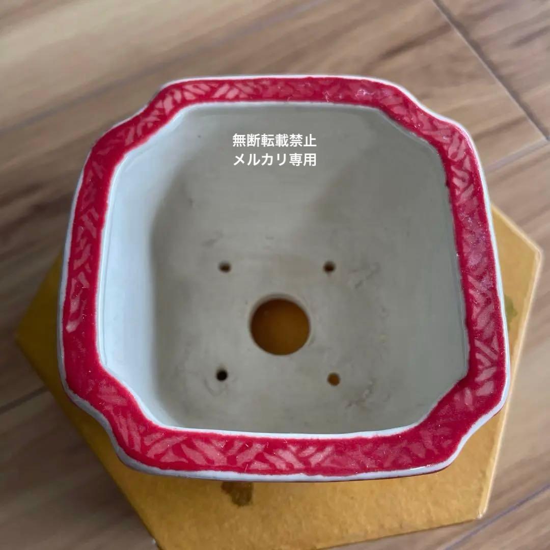 盆栽鉢 桑津香石 絵鉢 四角 松 鳥 赤絵 小品盆栽