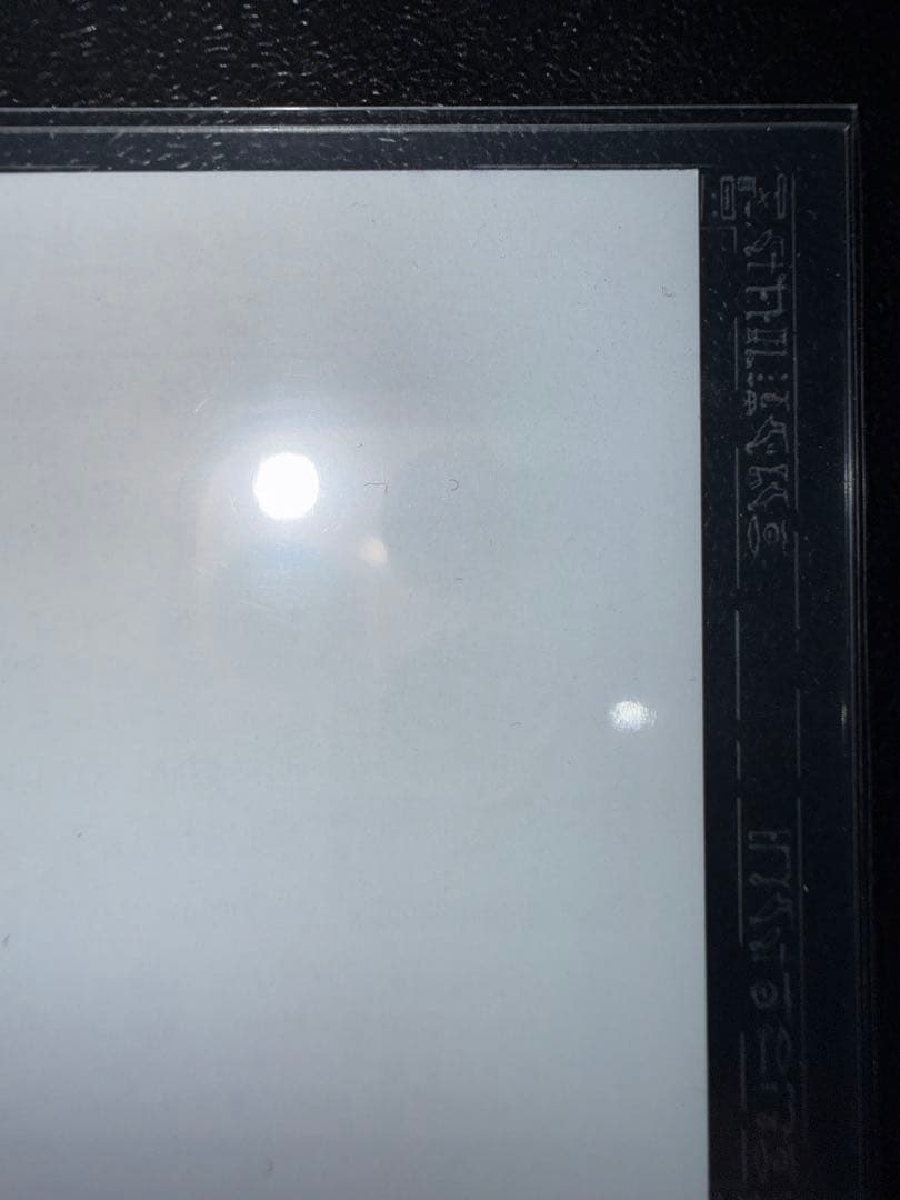 【美品】　遊戯王　光の創造神ホルアクティ　応募券