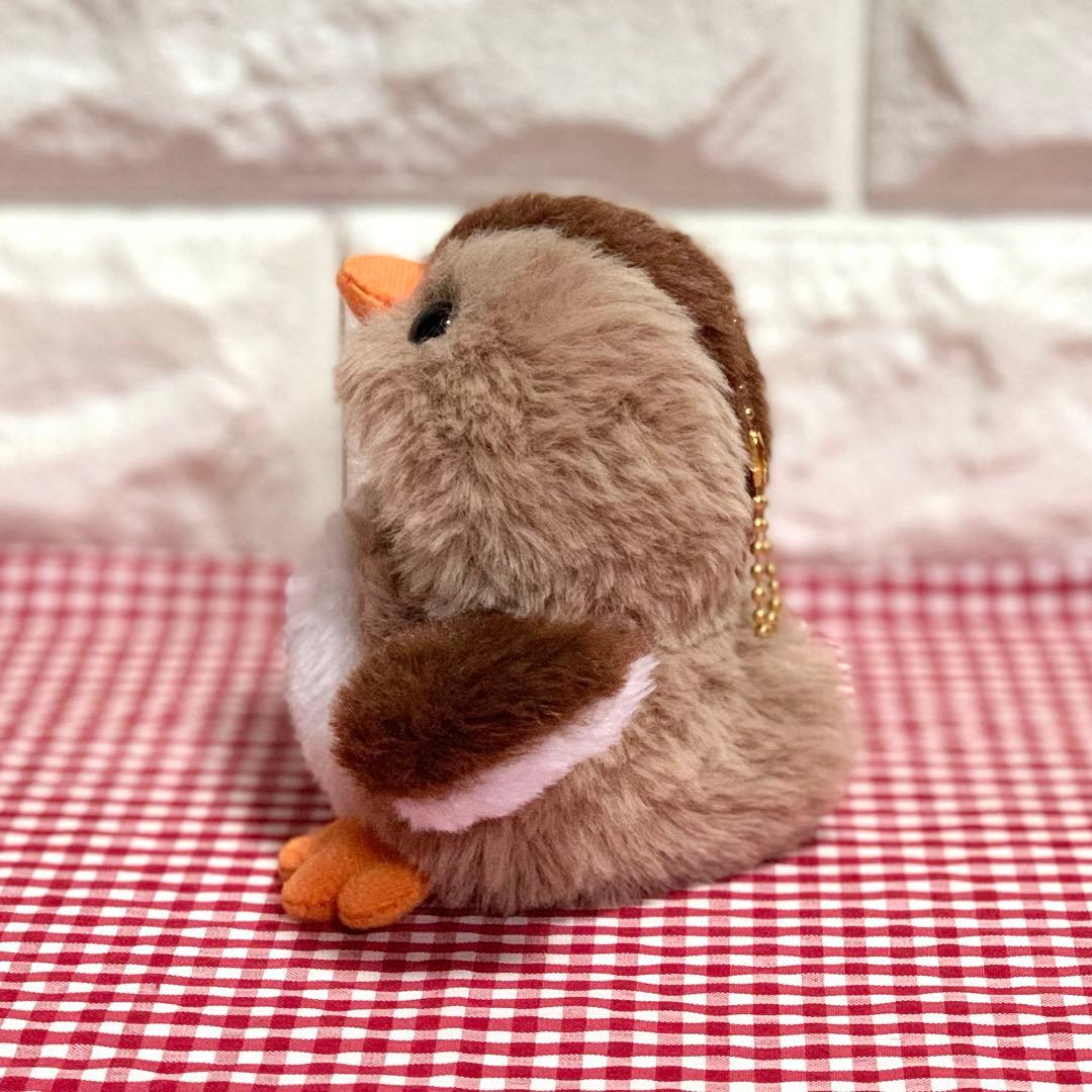 カルガモさんの着ぐるみコスチューム ぬい服 ぬい服 ポンチョ 10cm