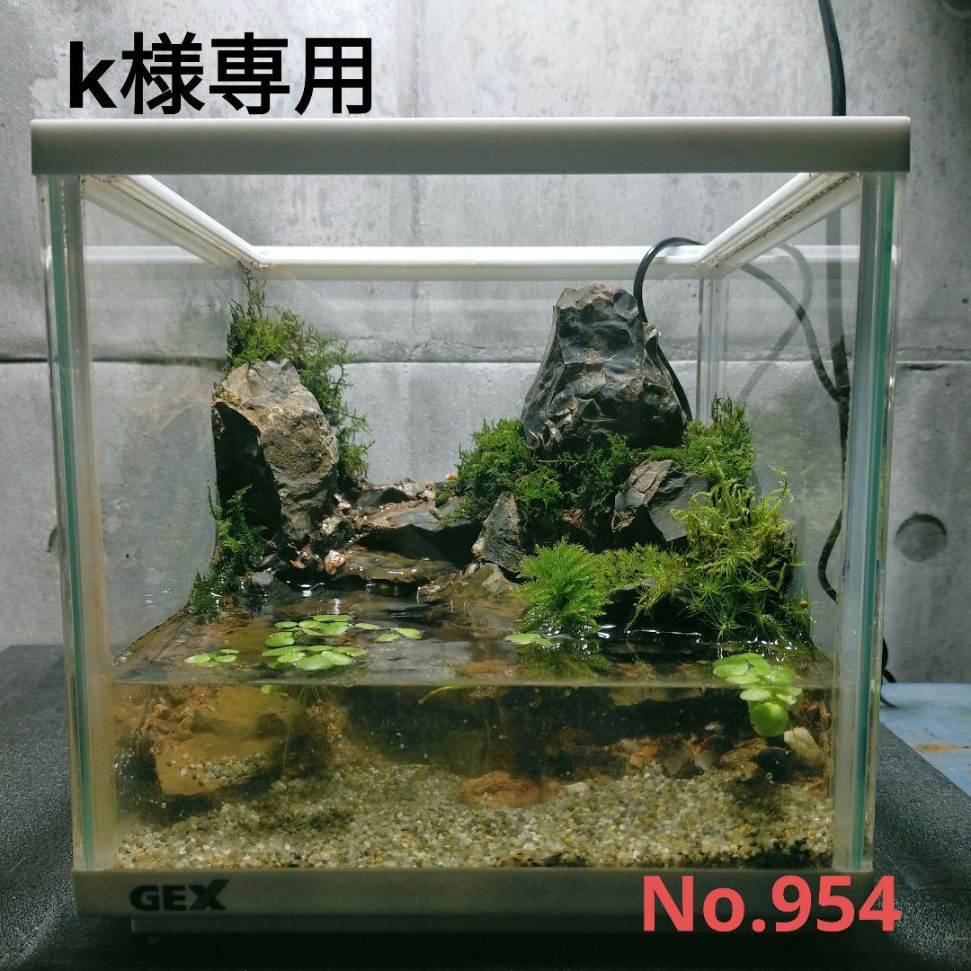 滝の流れるアクアテラリウムイモリウムNo.1065