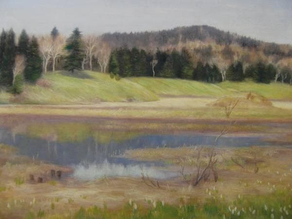 森田恒友、「尾瀬沼新緑」、希少な画集より、新品高級額・額装付