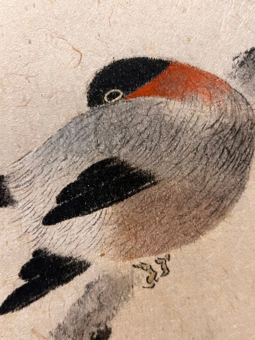 小杉放庵 「梅にうそ」 掛軸 掛け軸 複製工芸 印刷 五百城文哉師事 茶掛 春