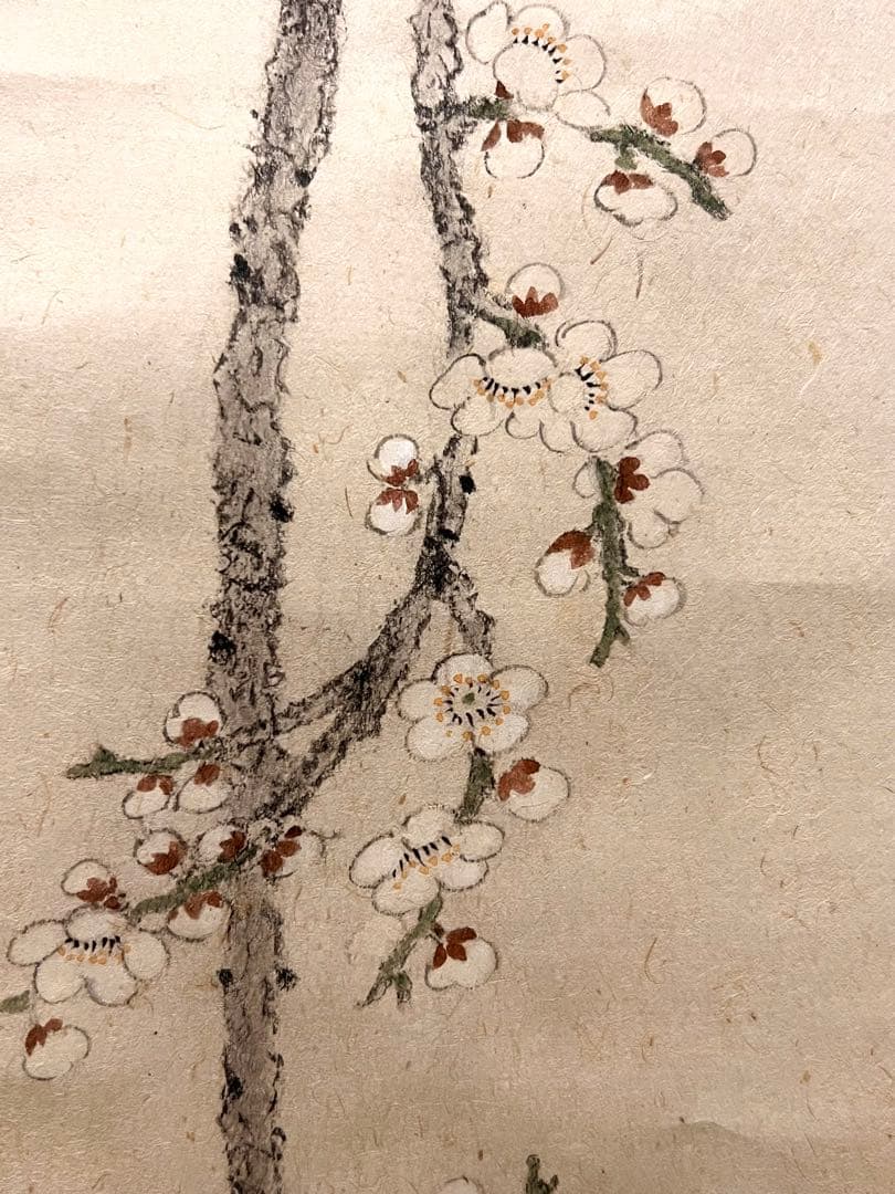 小杉放庵 「梅にうそ」 掛軸 掛け軸 複製工芸 印刷 五百城文哉師事 茶掛 春