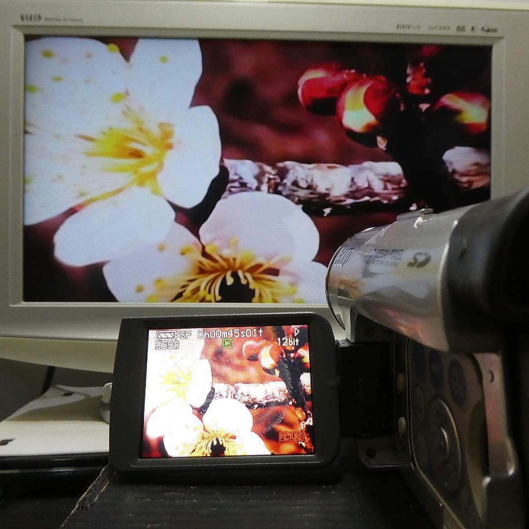 動作良好 パナソニックNV-GS120 MiniDVビデオ　デジタルダビングに
