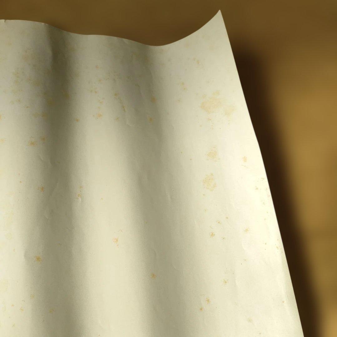 映画「ブラザーサン・シスタームーン」イタリア本国オリジナルポスター