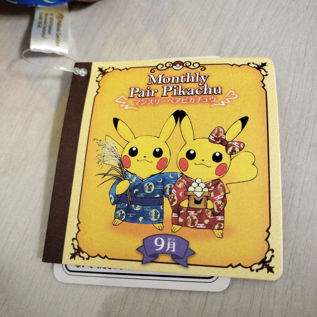 ピカチュウ　ぬいぐるみ