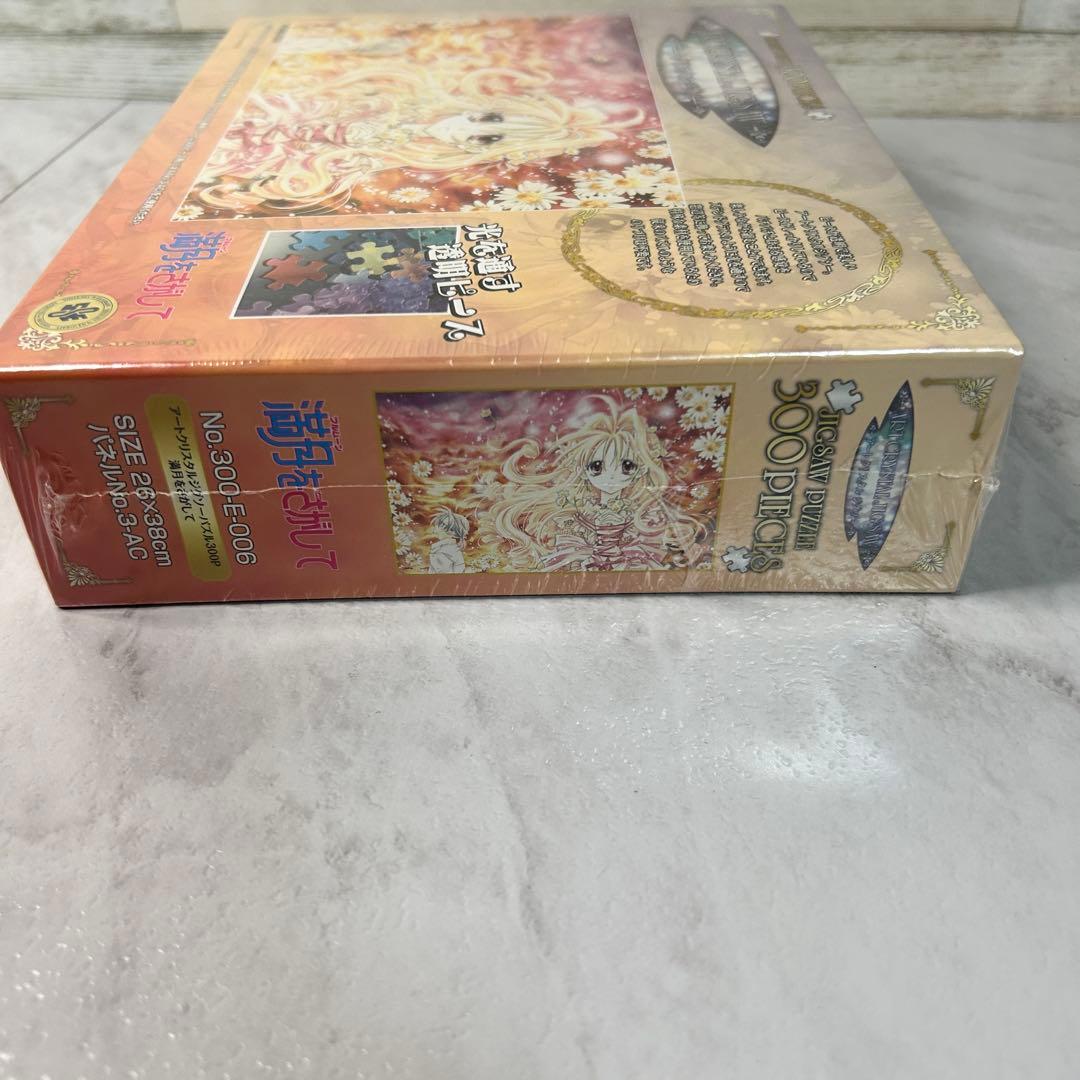 アートクリスタルジグソーパズル 300P 満月をさがして 種村有菜 - メルカリ