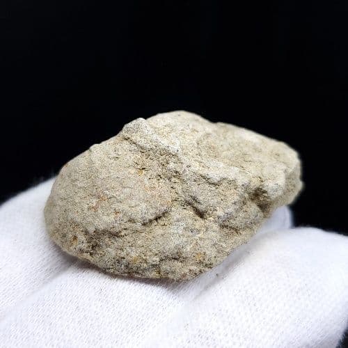 希少 ティラノサウルス 化石 骨 本物 アメリカ産 38.86mm tb93