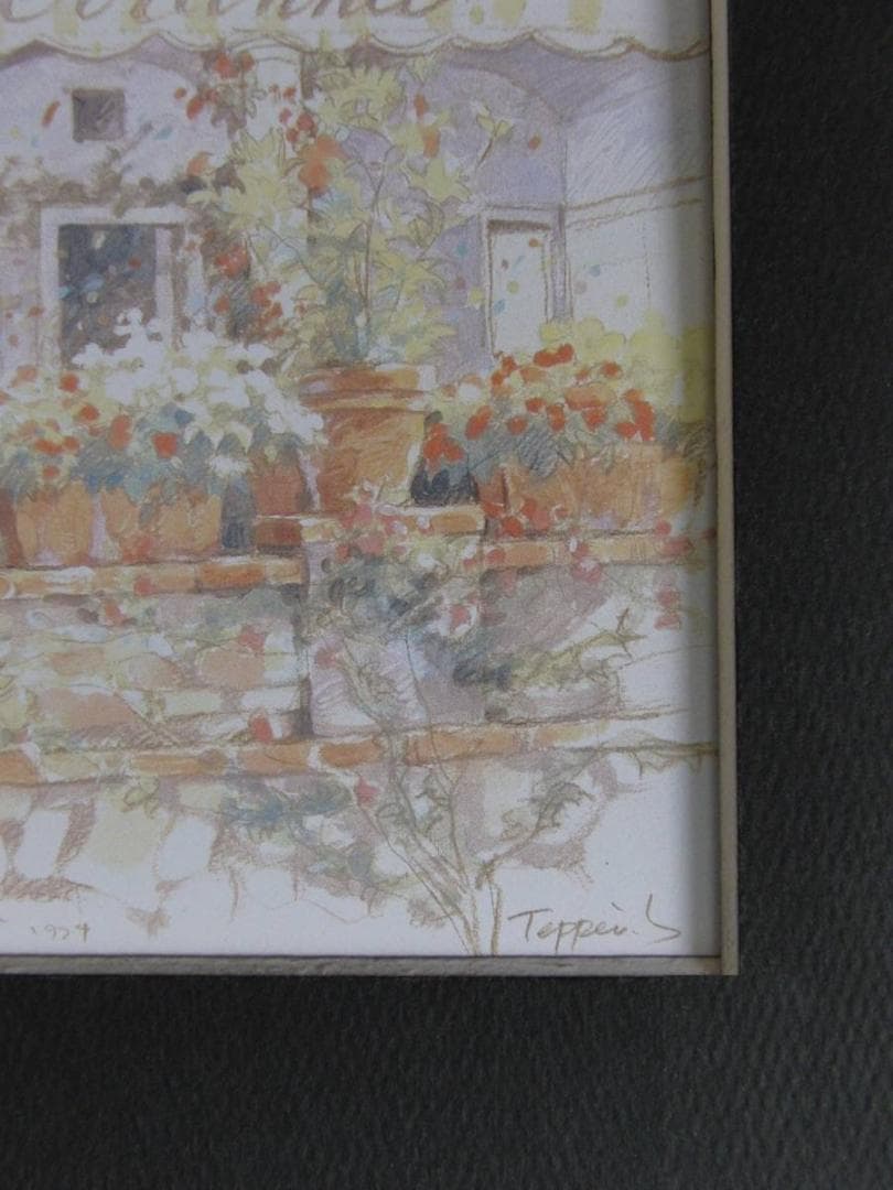 笹倉鉄平、【鉢植えのテラス】、希少な額装用画集より、状態良好、新品額装付