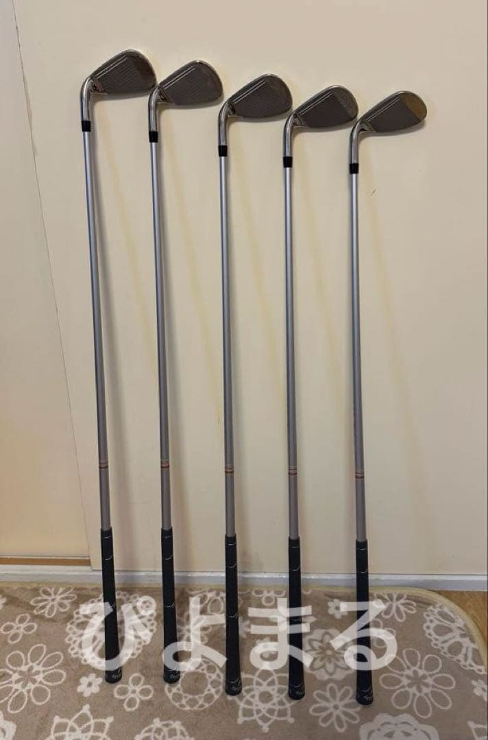 A31 GLENCO Nature サーモン 12kg ドッグフード 未開封