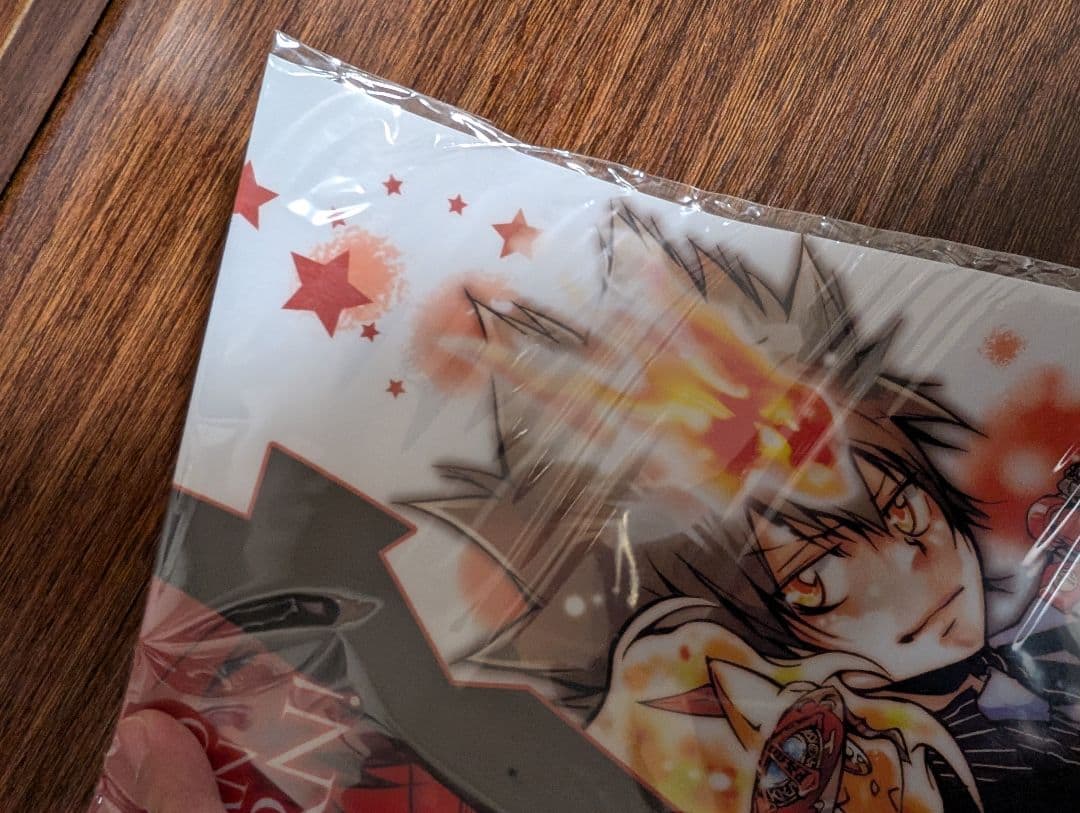 CF2011 限定 A3クリアポスター 家庭教師ヒットマンREBORN 沢田綱吉