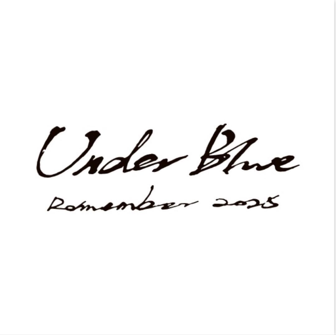 Eve ／Under Blue／skeleton parka ／M