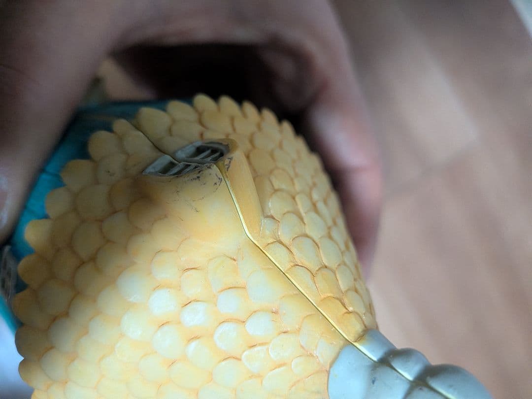 nick_nack様専用】ムーミン ミニチュアオープンハウス 森の香り懸賞