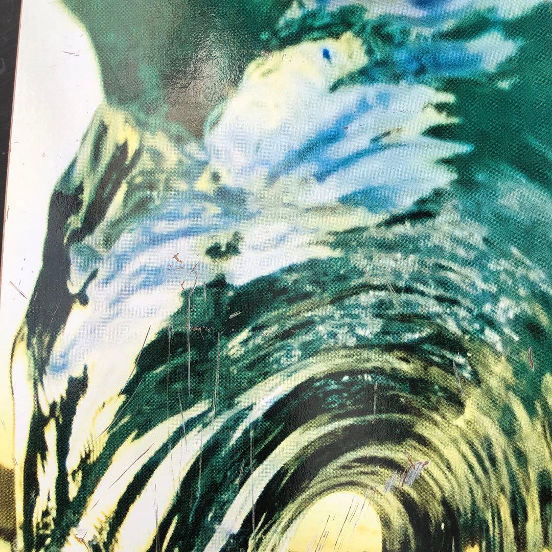 セクター9 波デザイン スケートボード 69mmホイール