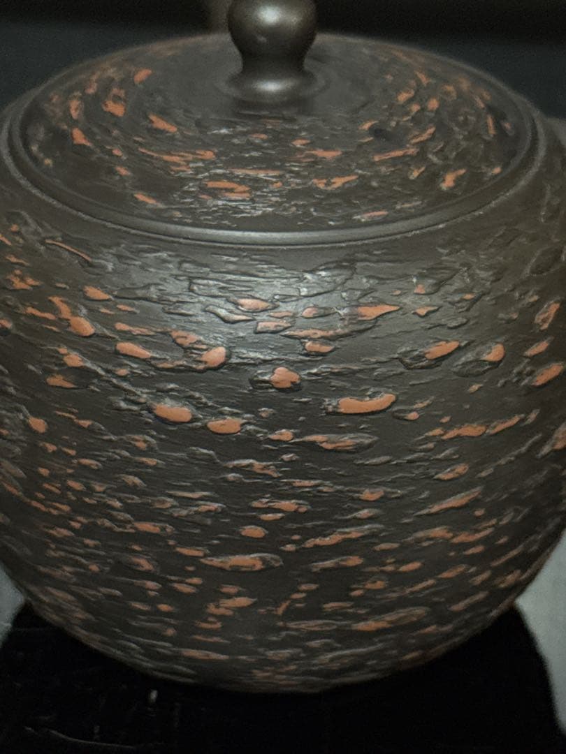 個展出品作 常滑焼 名人 仲井堂 森下宗則 作 焼桜紋様 急須 茶