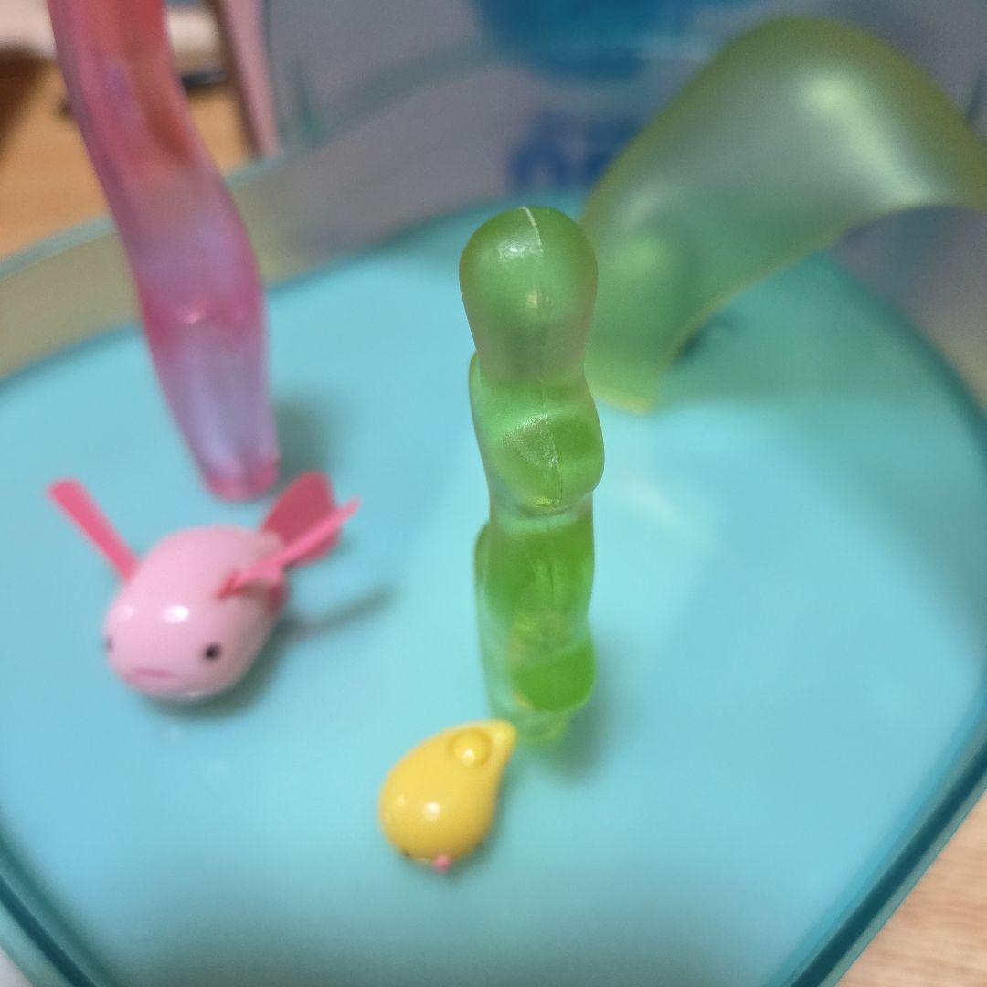 MUTSU　ウォータールーパー　ムツ