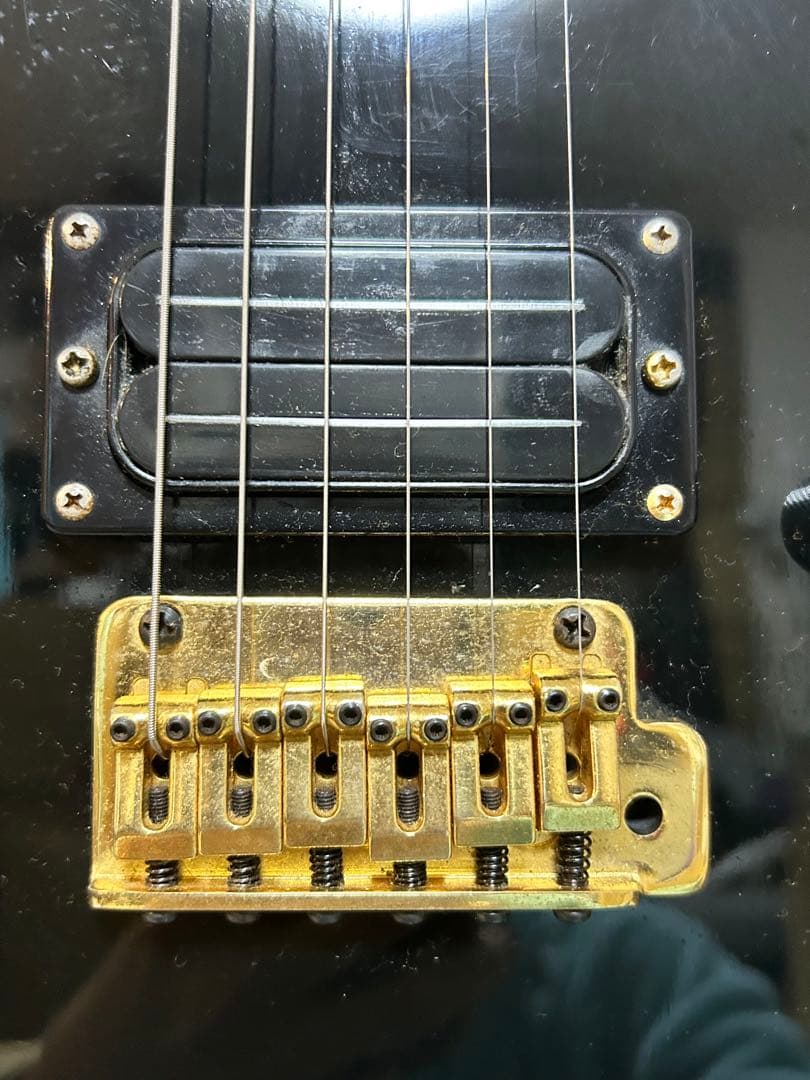 Bill Lawrence BY1R-60G 五十嵐 美貴シグニチャーモデル