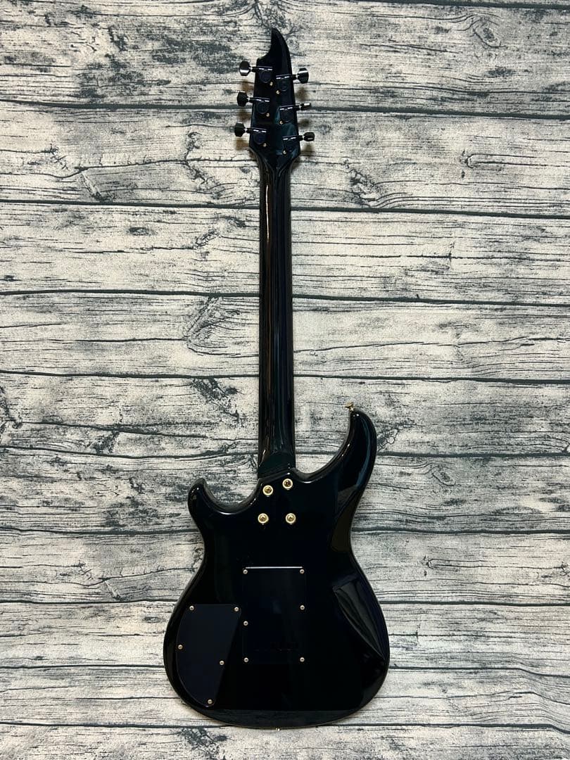 Bill Lawrence BY1R-60G 五十嵐 美貴シグニチャーモデル