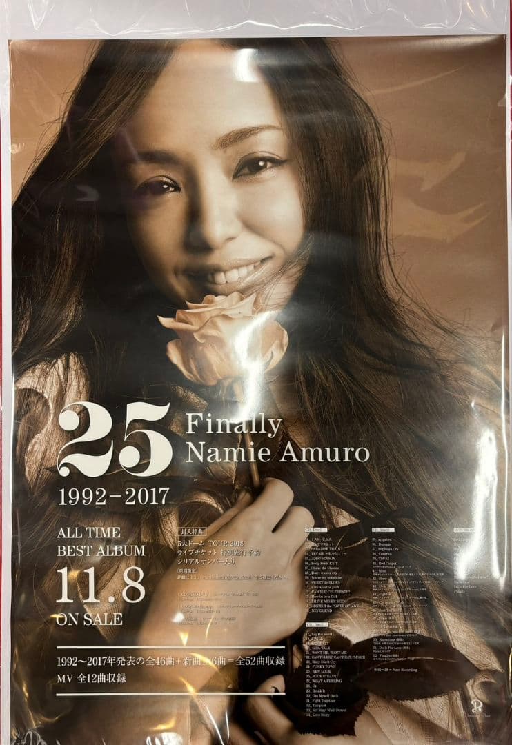 安室奈美恵 / Finally / 25周年 / B2告知ポスター 安室奈美恵 Finally