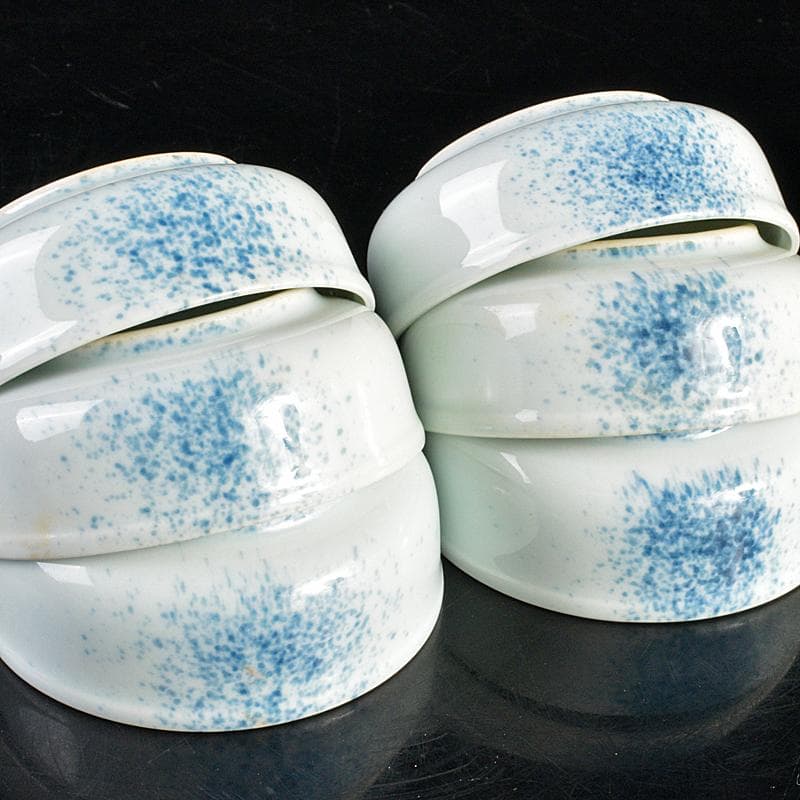 和食器 染付 吹墨文小皿 十二客 書付箱 V R7437