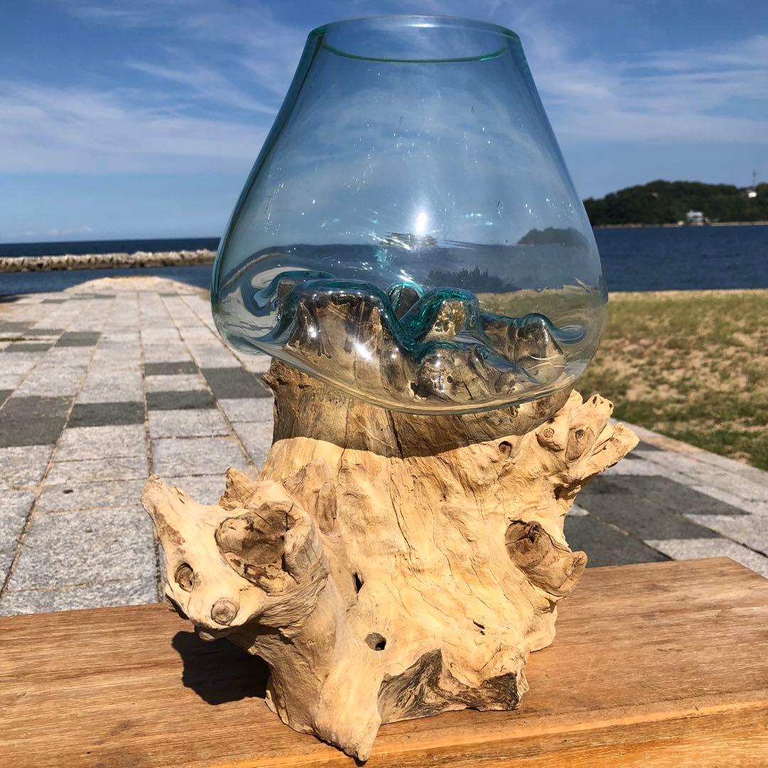 流木ガラス オブジェ特大V 花瓶 金魚鉢 ガーデニング テラリウム 観賞