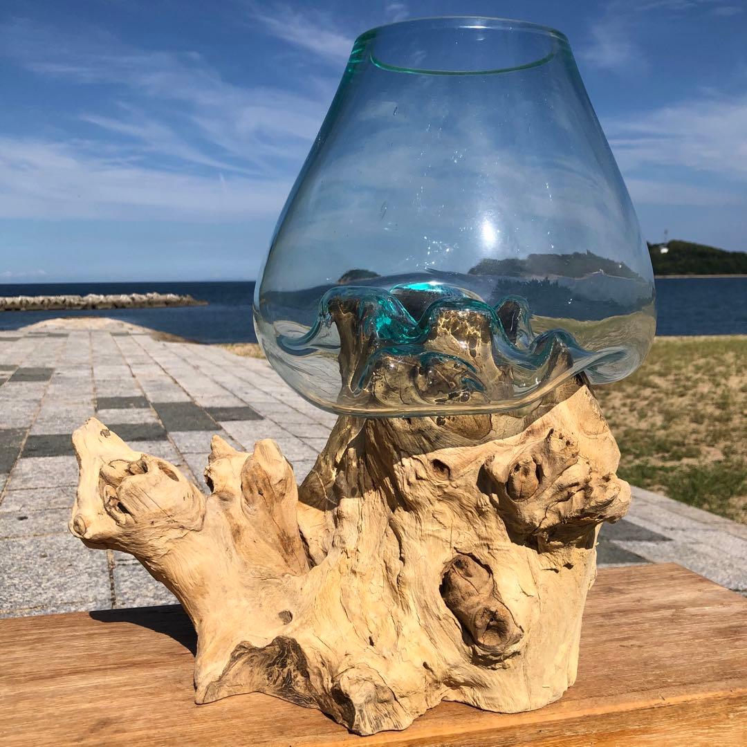 流木ガラス オブジェ中O 花瓶 金魚鉢 ガーデニング テラリウム 観賞魚 容器