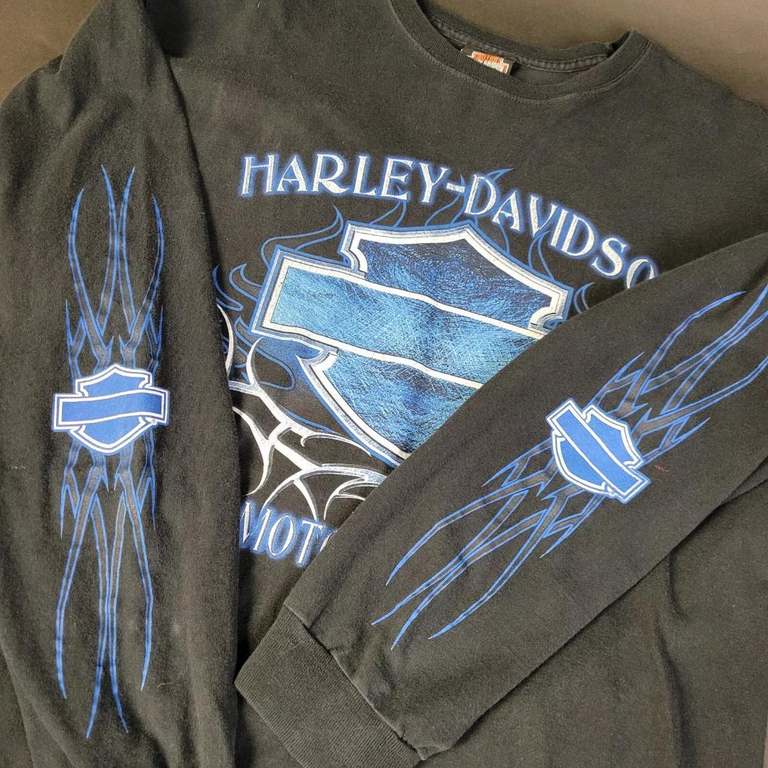 Blue Flame ブルーフレイム サンダー ハーレーダビッドソン ロンT