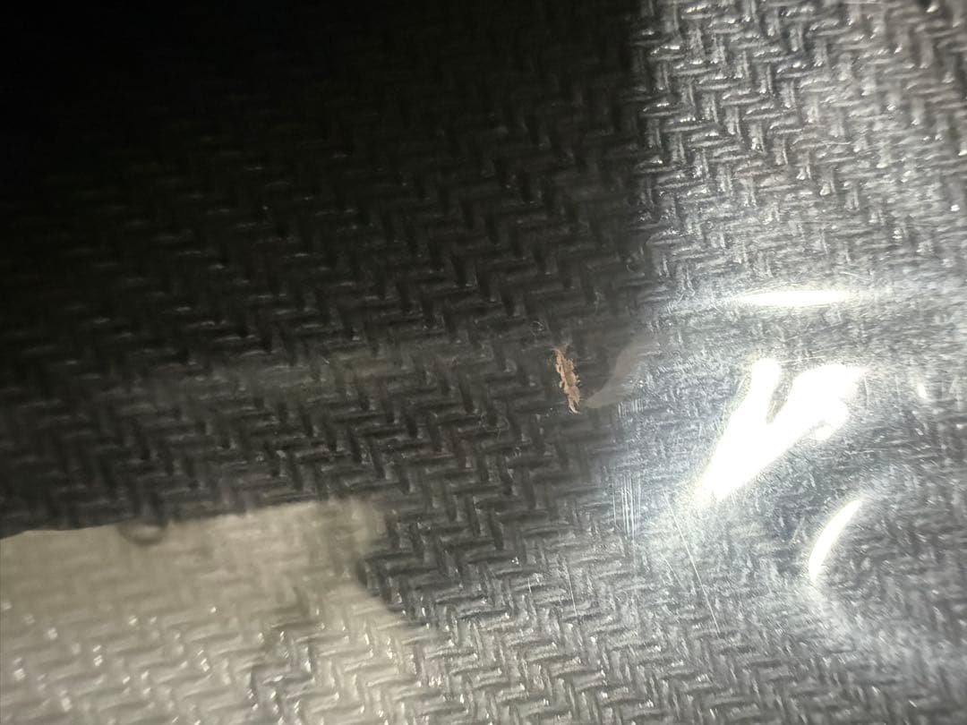 遊戯王WORLDCHAMPIONSHIP2015 プレイマット 極刀の武者 左京