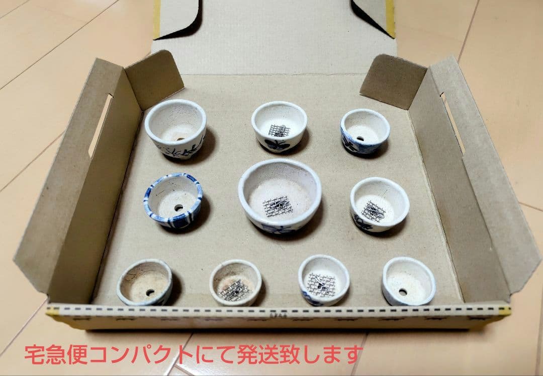 【松本松石、松山】ミニ盆栽鉢10個セット