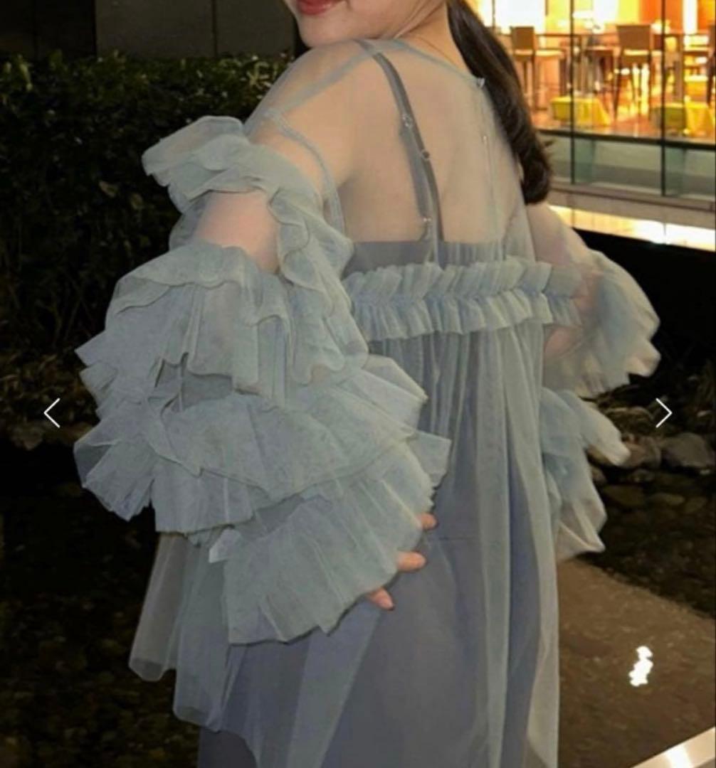 ANDRESDアンドレスド ニアナ グリーン チュールフリルブラウス - メルカリ