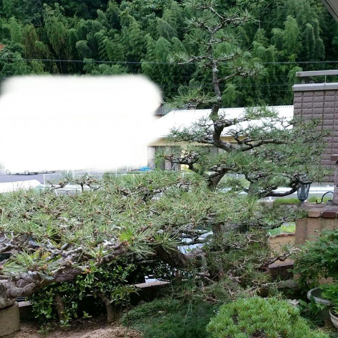 山下清澄☆ イタリアの幻想 II